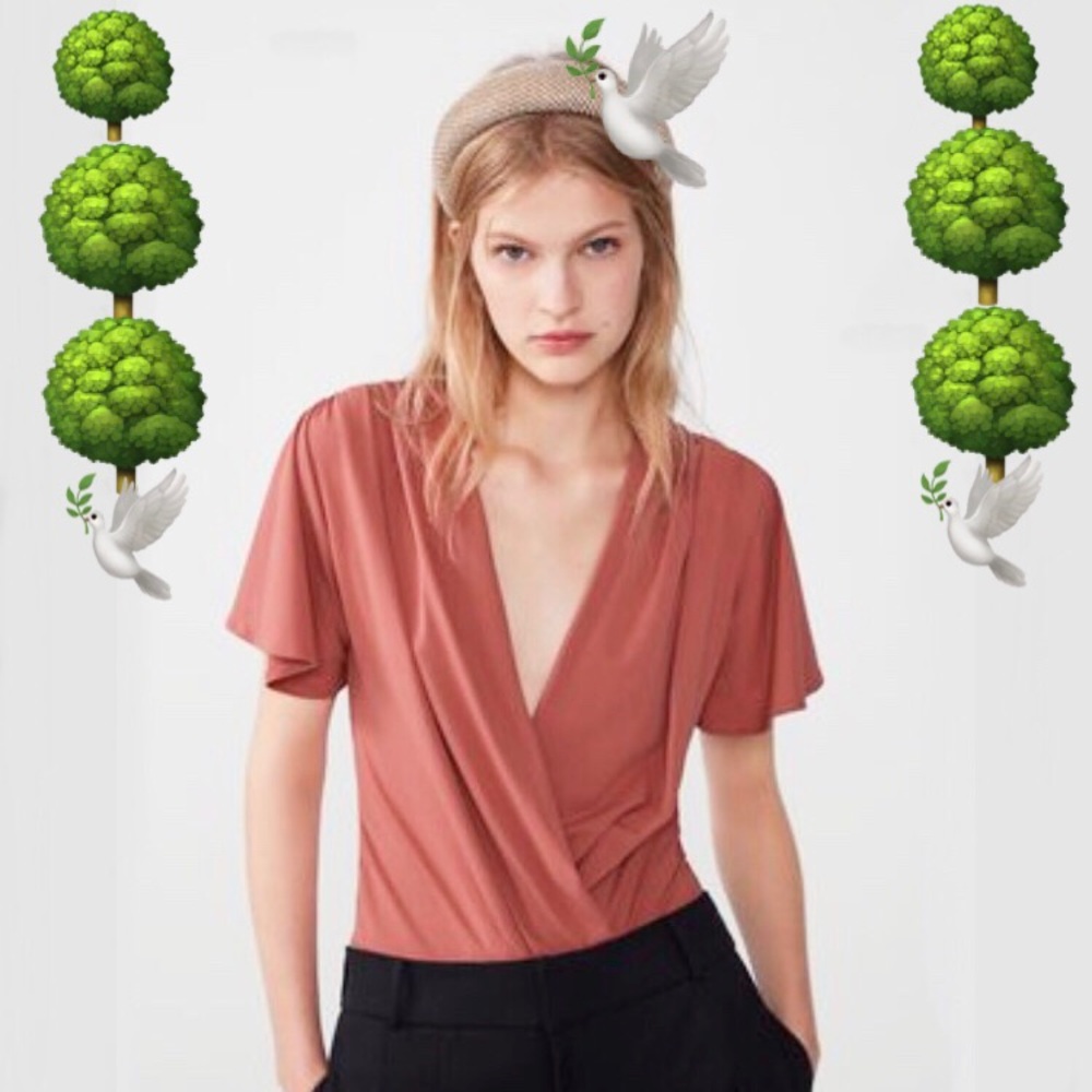 ZARA top